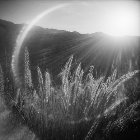 Arcs and rays