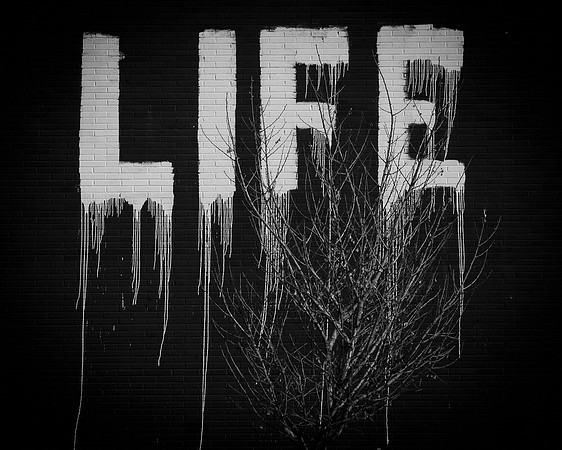 Life and death